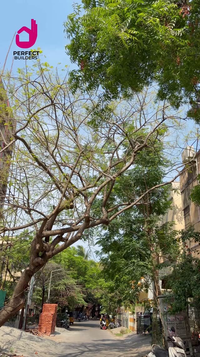 Perfect Prakruthi — construction status